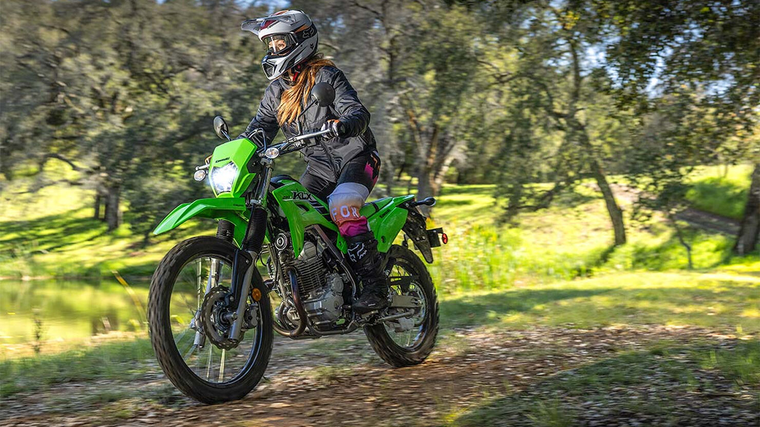 カマキリ色のKLX230