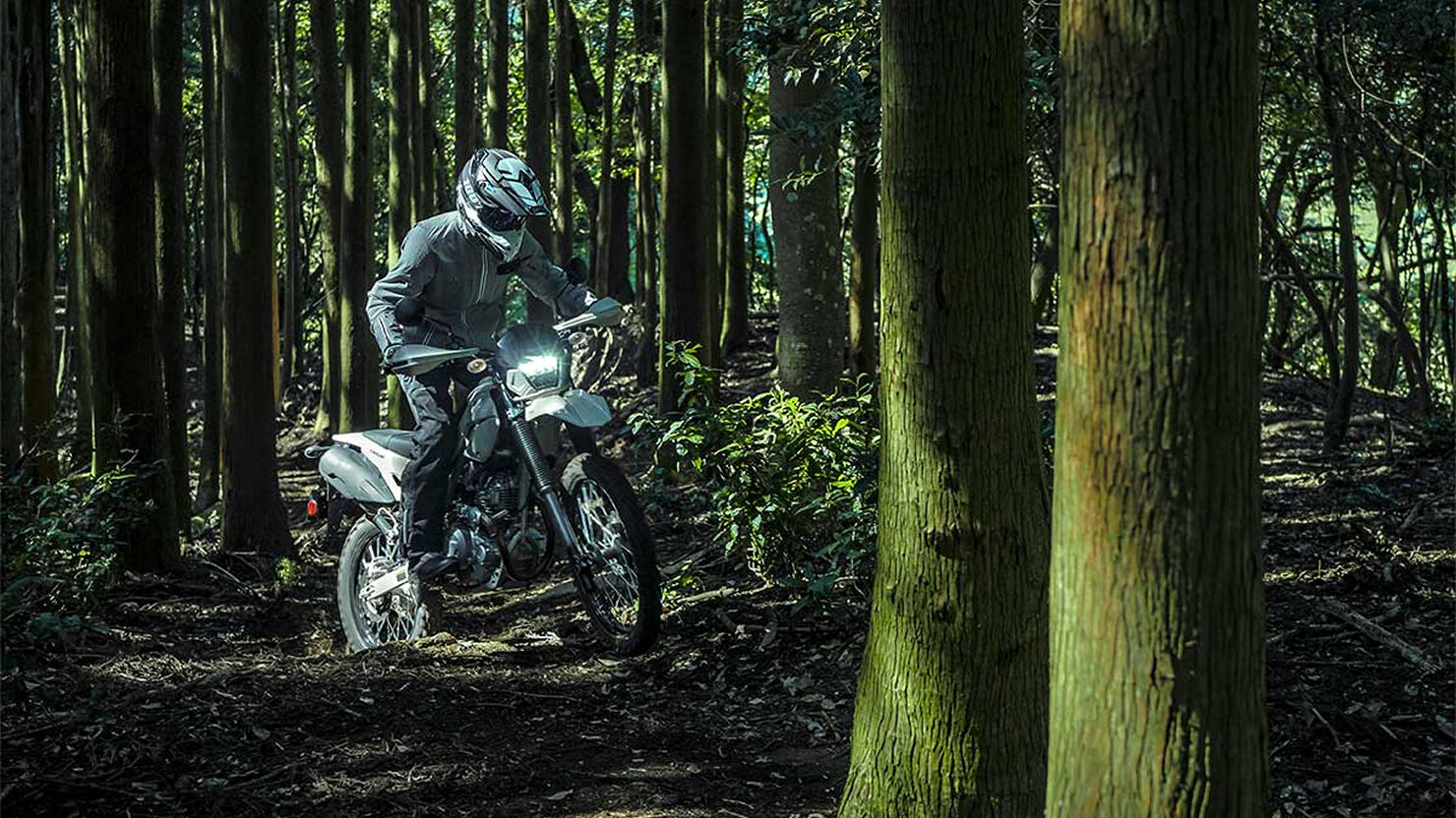 KLX230 SHELPA S
